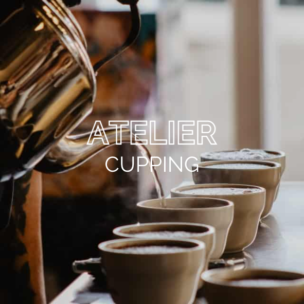 Atelier cupping